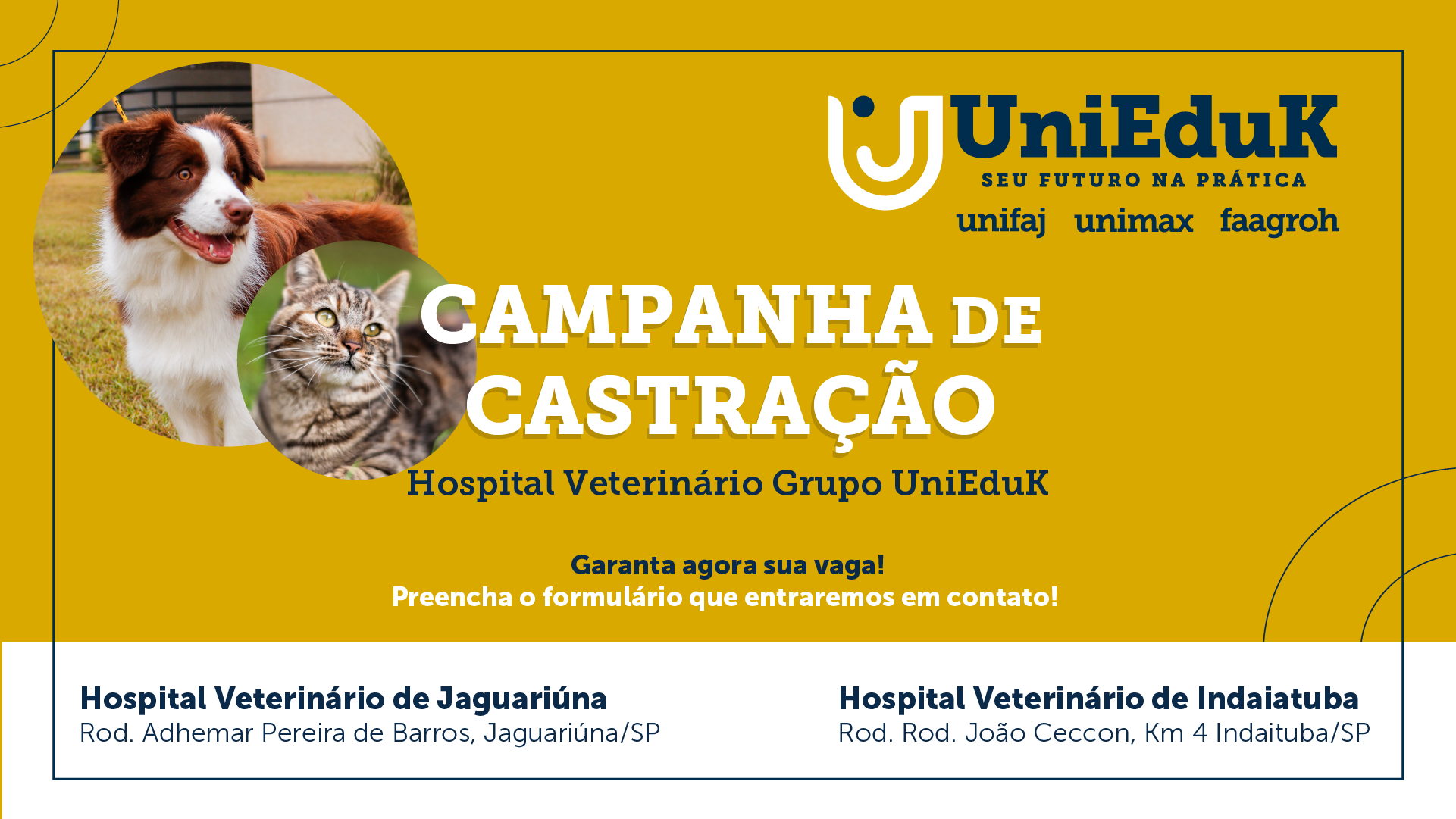 Castrações de animais crescem 17% com mutirões da prefeitura de Jaguariúna