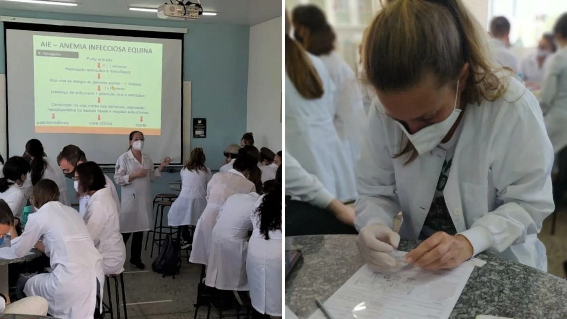 Imagem mostra os alunos de Medicina Veterinária durante a realização do teste para detecção de anticorpos no laboratório.